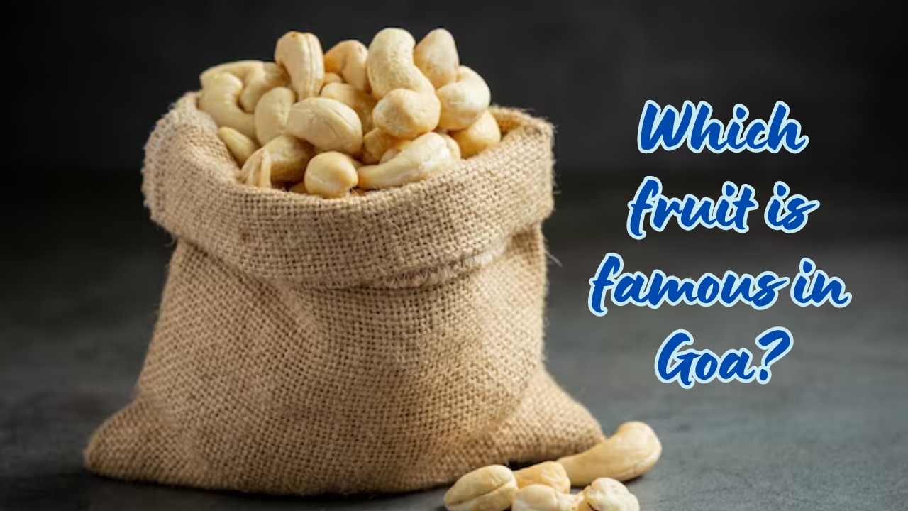 Which fruit is famous in Goa?